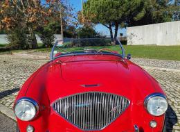 Austin Healey 100 BN1