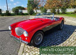 Austin Healey 100 BN1