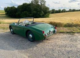 Austin Healey Sprite Frogeye Mk1