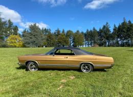 Ford Galaxie