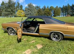 Ford Galaxie