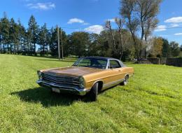 Ford Galaxie