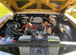 Ford Galaxie