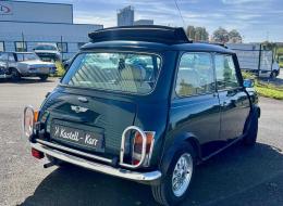 Rover Mini MINI