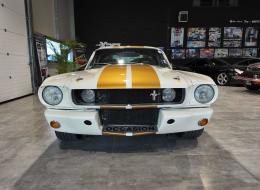 Ford Mustang Fastback 1966 V8 VHC