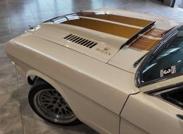 Ford Mustang Fastback 1966 V8 VHC