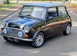 Mini 1000