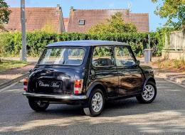 Mini 1000