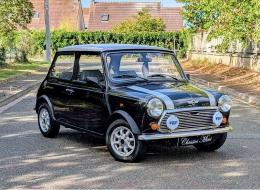 Mini 1000