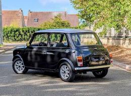 Mini 1000