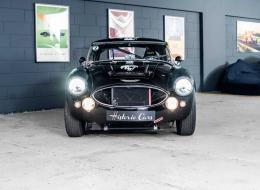 Austin Healey 3000 FIA Specs GTS12