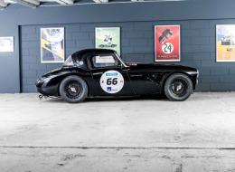 Austin Healey 3000 FIA Specs GTS12