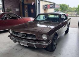 Ford Mustang V8 289ci