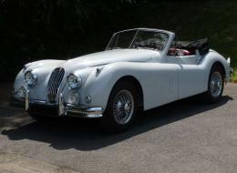 Jaguar Série - XK 140 Cabriolet