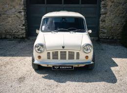 Mini Van Austin