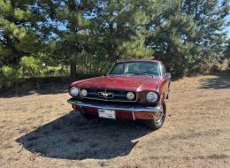 Ford Mustang V8 Coupé