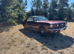 Ford Mustang V8 Coupé