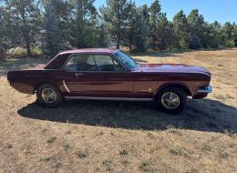 Ford Mustang V8 Coupé