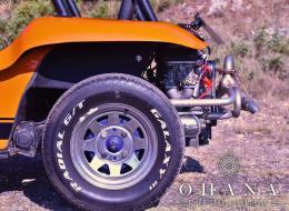 Buggy VW SOVRA LM1 