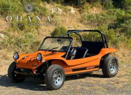 Buggy VW SOVRA LM1 
