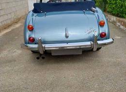 Austin Healey 3000 MK III BJ8