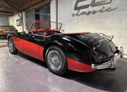 Austin Healey 100 100/6 BN4