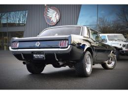 Ford Mustang V8 260 Coupé