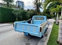 Ford Pick-up F100 Custom