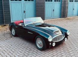 Austin Healey 100 / 6