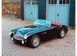 Austin Healey 100 / 6