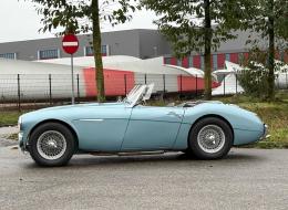 Austin Healey 100 / 6 (BN4)