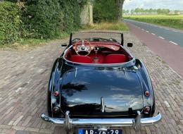 Austin Healey 3000 MKII BT7
