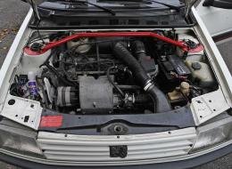 Peugeot 309 GTI                                      
