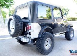 Jeep CJ 7 Wrangler 4.2 L