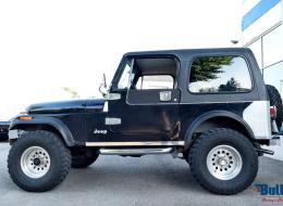 Jeep CJ 7 Wrangler 4.2 L