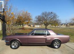 Ford Mustang GT350 Tribute