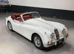 Jaguar Série - XK 140 DHC Roadster