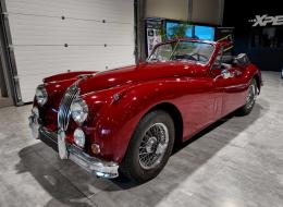 Jaguar Série - XK 140 OTS