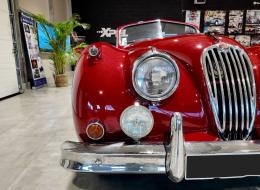 Jaguar Série - XK 140 OTS