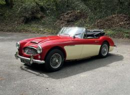 Austin Healey 3000 MkII  BT7