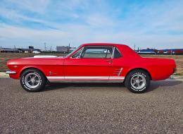 Ford Mustang V8 Coupé