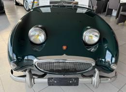 Austin Healey Sprite Frogeye