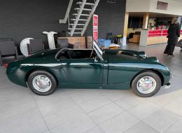 Austin Healey Sprite Frogeye