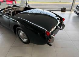Austin Healey Sprite Frogeye