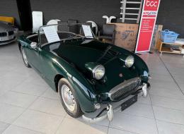 Austin Healey Sprite Frogeye