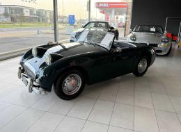 Austin Healey Sprite Frogeye