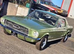 Ford Mustang V8 289 Luxury