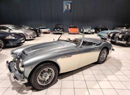 Austin Healey 100 six