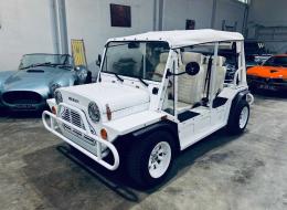 Mini moke Classic BeeBeach