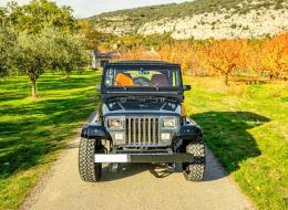 Jeep Wrangler YJ Laredo 4.0 L